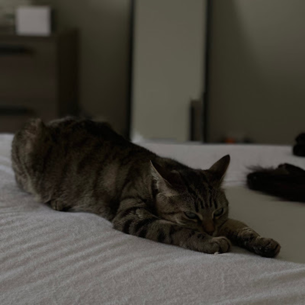 Meet your Posher, Salem